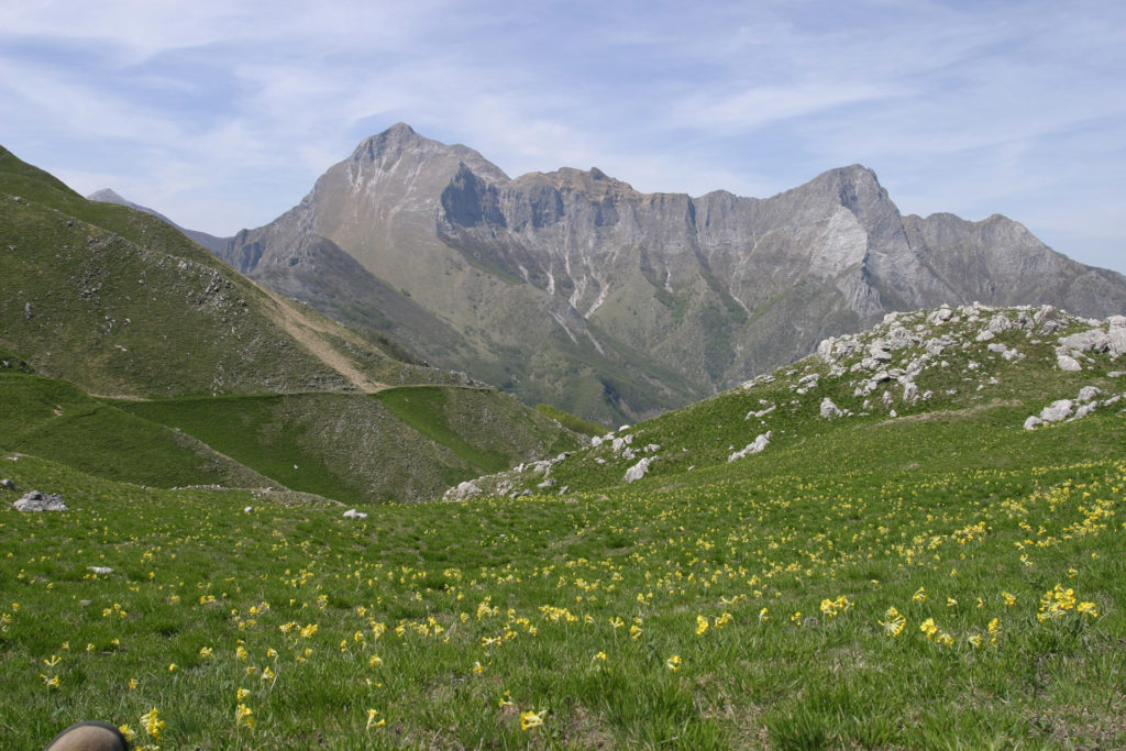 paesaggio Garfagnana
