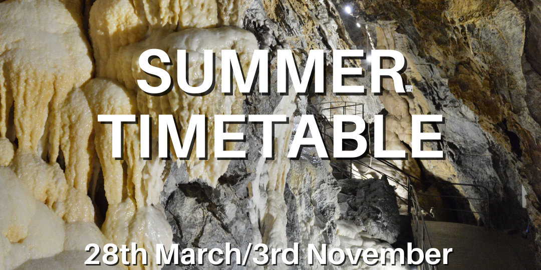 Summer timetable 2024