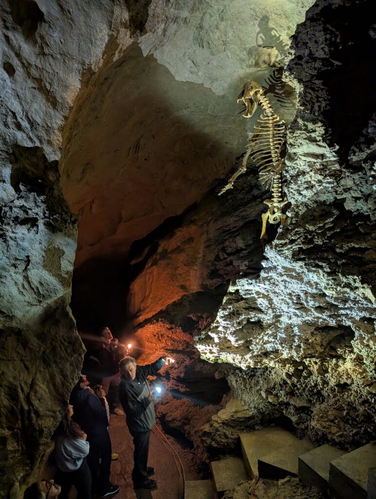 La Sala dell'Orso durante le Serate al Buio della Grotta del Vento